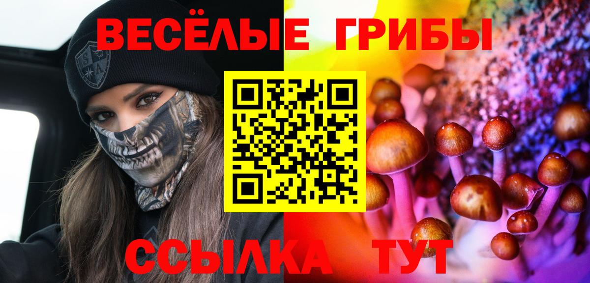 Галлюциногенные грибы MAGIC MUSHROOMS Химки